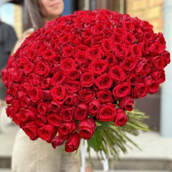 201 красная роза 60 см.