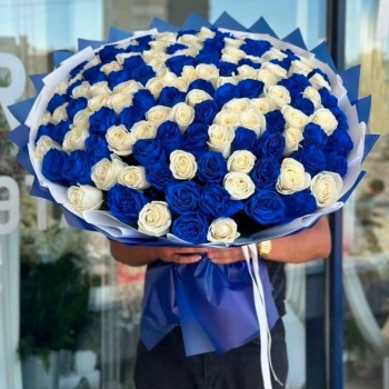 Букет из 101 синей и белой розы