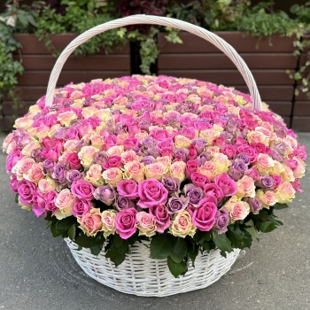 501 роза в корзине Нежный микс