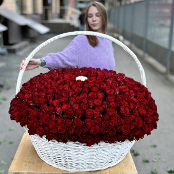 501 красная роза в корзине