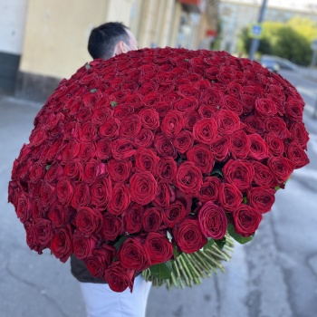 301 красная роза 60 см.