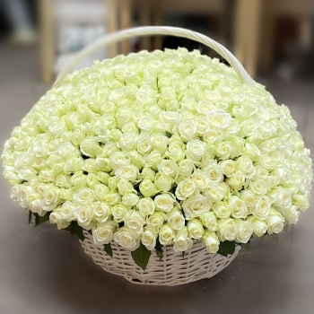 501 белая роза в корзине