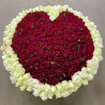 Сердце из 501 розы в корзине