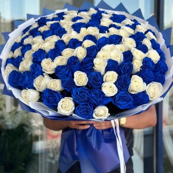 Букет из 151 синей и белой розы