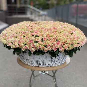 1001 нежно-розовая роза в корзине MAX