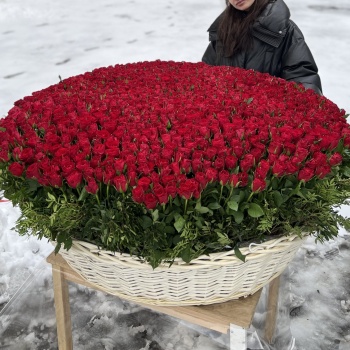 1001 красная роза в корзине MAX
