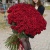 201 красная роза Premium 120 см.