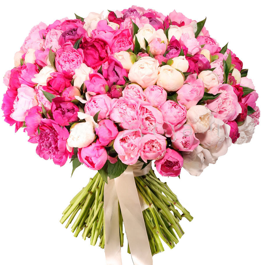 Fragrant Bouquet пион