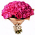 Букет из 51 малиновой розы в крафте