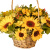 Букет сборный в корзине "Оттенки желтого" Букет сборный в корзине "Оттенки желтого"