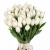 Букет из 45 белых тюльпанов
