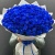 Букет из 101 синей розы Premium