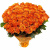 Букет из 55 оранжевых роз Букет из 55 оранжевых роз