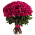 Букет из 55 малиновых роз