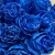 Букет из 35 синих роз Premium