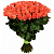 Букет из 55 коралловых роз