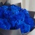 Букет из 13 синих роз Premium