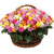 Букет MIX из 201 розы в корзине