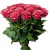 Букет из 25 малиновых роз Букет из 25 малиновых роз
