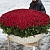 1001 красная роза в корзине MAX